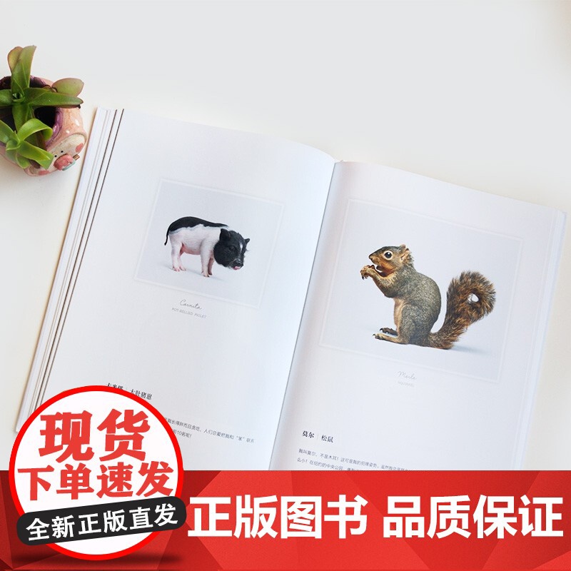 [央视网]我的动物萌友 9787514388589 现代出版社 XD高清大图