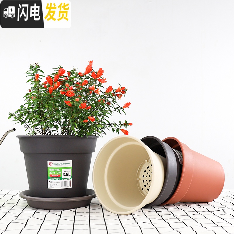 三维工匠花盆园艺简约素烧风花盆圆口加厚树脂多肉吊兰绿萝花盆p586 [素烧风]6号米色(盆+托) 中等花盆容器高清大图