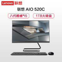 联想(Lenovo)ideacentre AIO 520C 英特尔酷睿i5 23.8英寸商务办公一体机台式电脑(i5-8400T 8G 1TB大硬盘 R530 2G独显)黑色