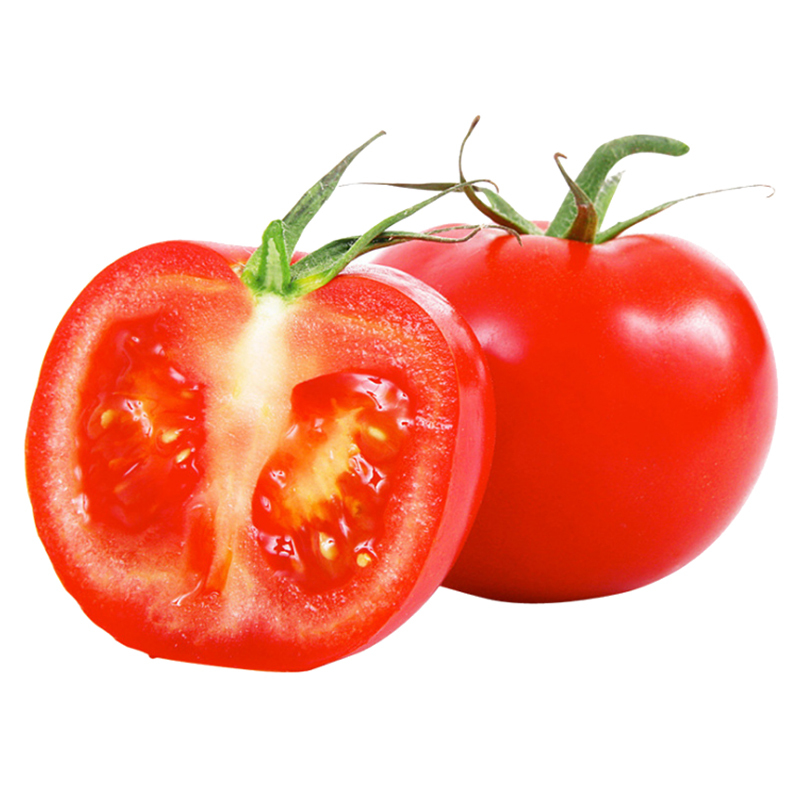 熊猫鸟山东普罗旺斯番茄当季现摘蔬果新鲜沙瓤番茄净重485斤农家沙瓤