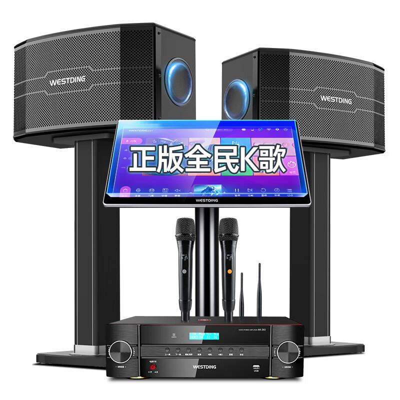 威斯汀 家庭ktv音响套装点歌机一体KTV唱歌全套设备K歌影院客厅卡拉OK音箱118四分频七单元+全新393一体机