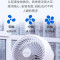 熊猫台式循环扇8自摇头+360度循环+大机头 DQ618机械上下左右摇头