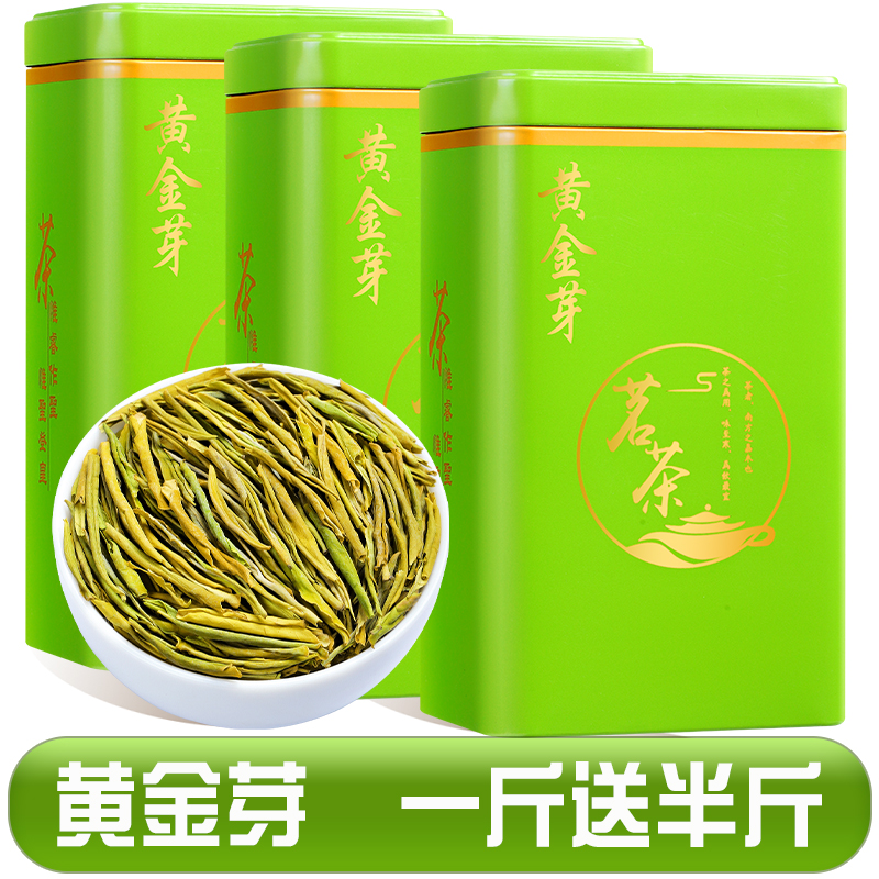 2024新茶特级安吉特产白茶新茶明前黄金芽茶叶正宗绿茶罐装750g 750g