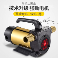电动抽油泵正反转12V24V220V柴油泵直流泵自吸泵手动加油机抽油器 易丰扬12V正反+6米管