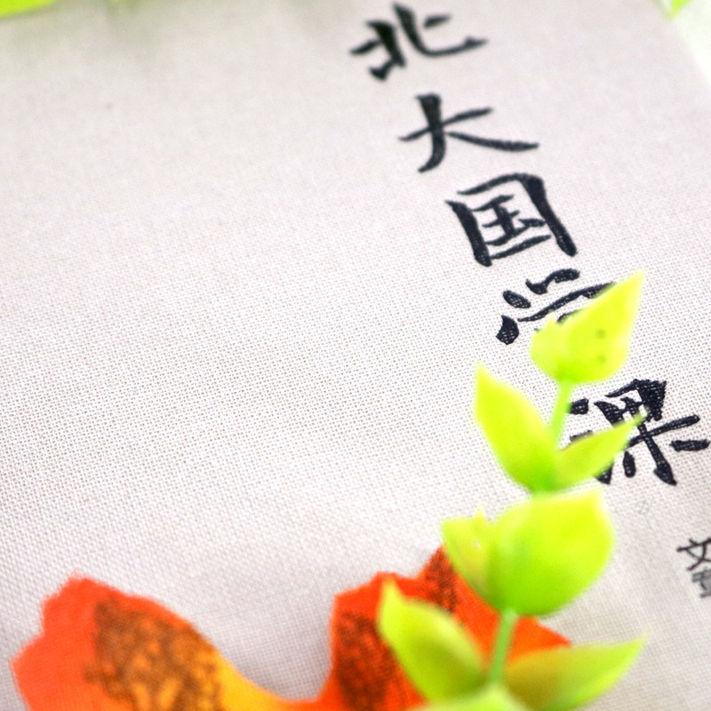 [正版]北大国学课精装布面受益一生的北大国学课国学课程聆听国学大师们充满智慧的声音 国学常识全知道 中国文化百科书籍高清大图