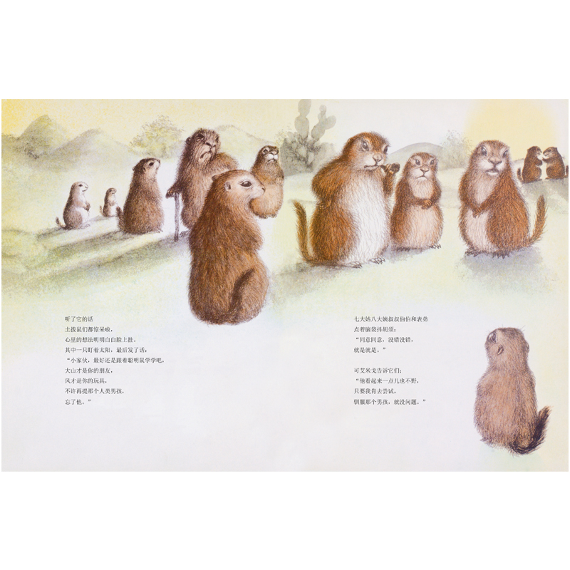 醉染图书土拨鼠艾米戈9787534068072