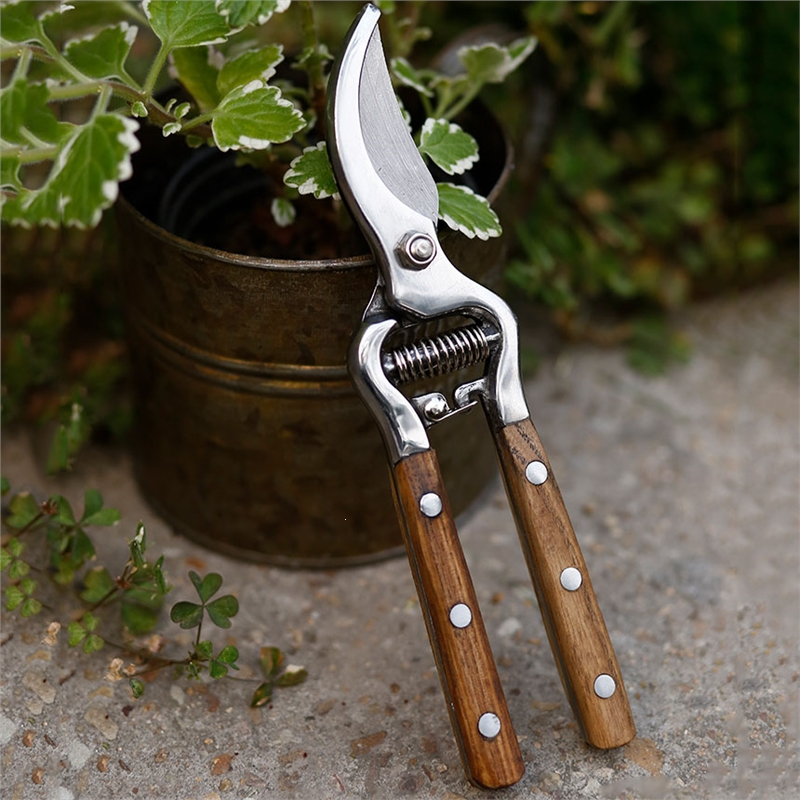 水曲柳木柄修枝剪花艺园林果树修剪回固树枝修花剪刀省力家用园艺工具