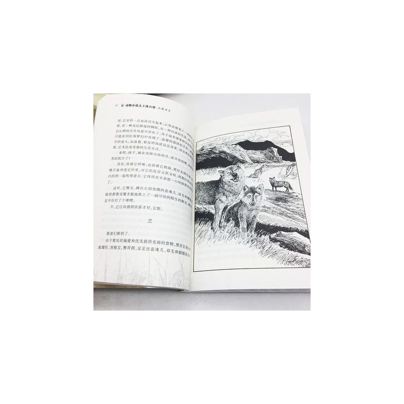 [套装6册]沈石溪动物小说 [正版]书店狼王梦 升级版 动物小说大王沈石溪品藏书系 小学三四五六年级课外阅读书籍动物小说