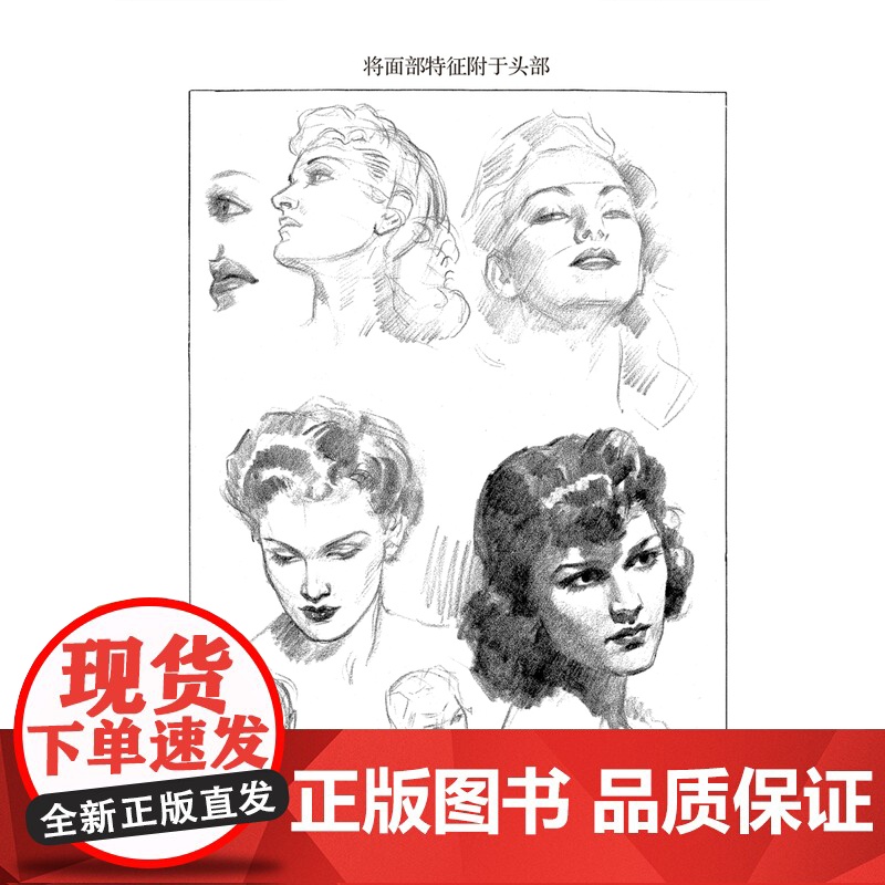 正版 路米斯经典美术课-人体素描 安德鲁路米斯 西方经典美术技法译丛 西方人体静物写生素描绘画美术艺术教程 上海人民美术高清大图