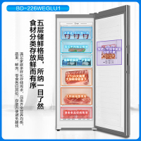 海尔(Haier)立式无霜冰柜一级能效电脑温控全温区冷藏冷冻保鲜-40度深冷速冻立式冷冻柜BD-226WEGLU1