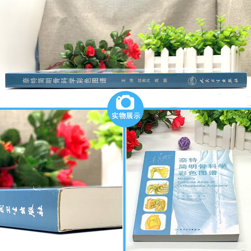 [正版] 奈特简明骨科学彩色图谱 邱贵兴 高鹏主译 医技学 医学图谱 骨科学 解剖学图谱 奈特人体解剖彩色图谱参考书高清大图