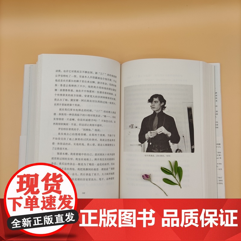 只是孩子 (美国国家图书奖获奖作品,传奇艺术家帕蒂•史密斯回忆录代表作,全新精装改版)高清大图