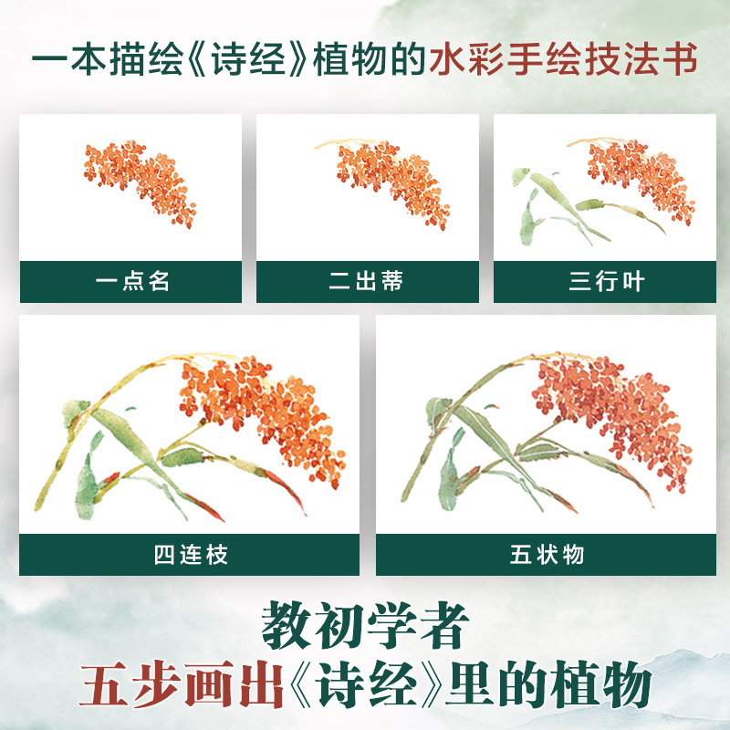醉染图书水彩小札 诗经草木手绘技法9787571215859高清大图