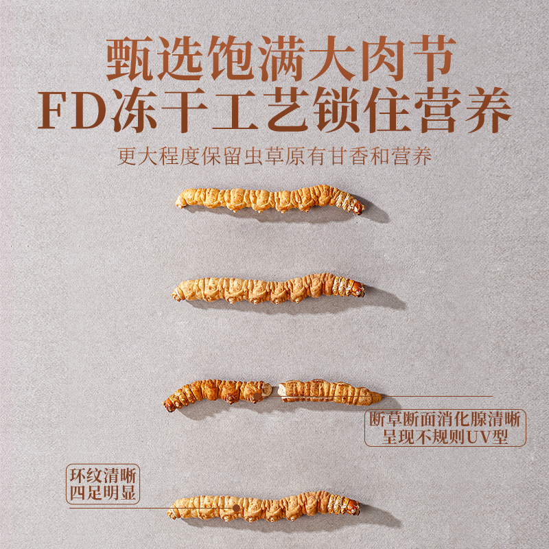 断草5g4根/g 杞里香青海冬虫夏草正品东虫草茶干货无礼盒装酒