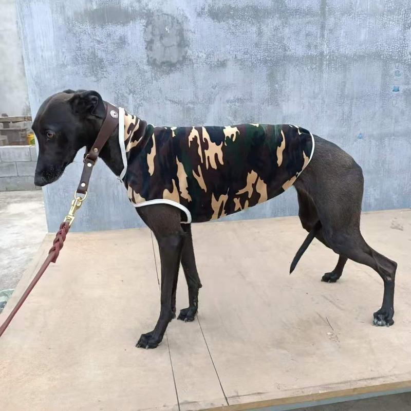 肩高红色格力犬狗衣服惠比特狗棉服细狗加绒加厚狗衣服格惠灵缇犬狗