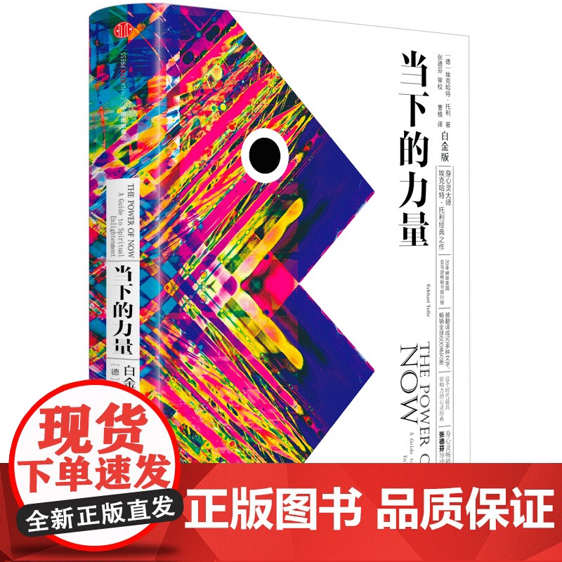 能量的真相+当下的力量 卡比尔·贾菲 著 心理学高清大图