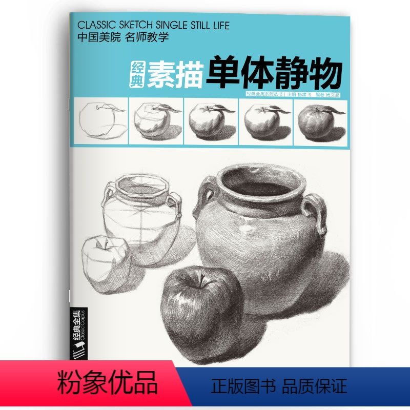 [正版] 素描单个体静物书临摹范本大画结构解剖与透视训练入门绘画画自学教程材精湛顶陶配罐步骤敲门砖美术高联考 杨建飞