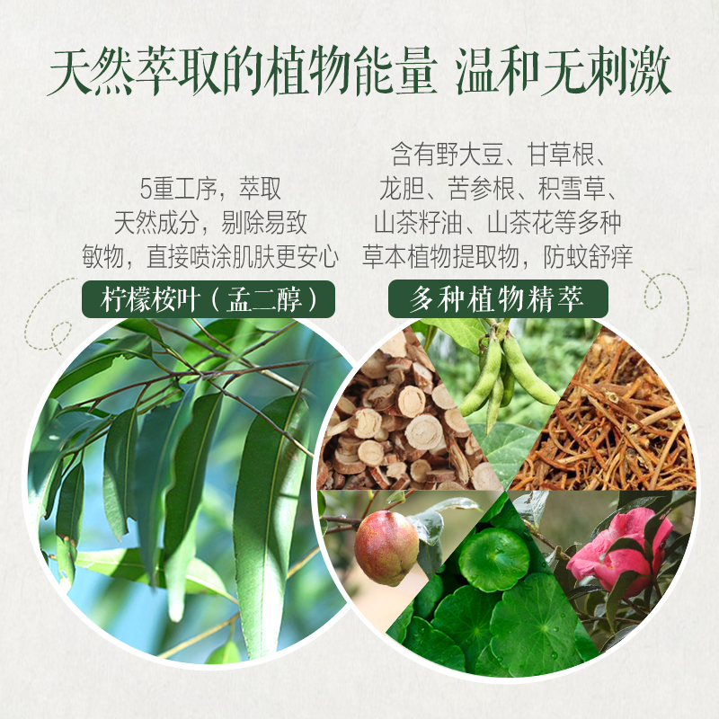 她芙山茶花植物本草多效防护喷露60ml 天然植物萃取 长效防蚊叮咬