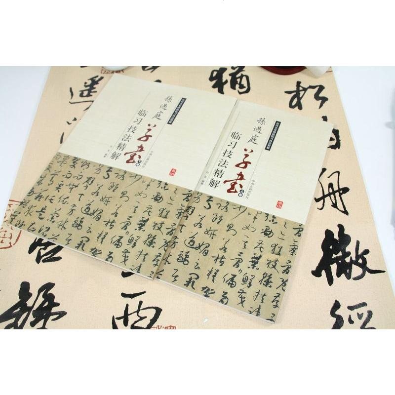 [正版 ]孙过庭草书临习技法精解(上下卷)/怎样临帖习字入孙过庭书谱集字古诗字汇书法全集历代名家碑帖临习技法精解