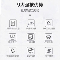 Haier/海尔净水机 家用 反渗透 净水器 母婴直饮 RO纯水机 厨下式 大通量 纤薄侧显智能 LRO6H10-3