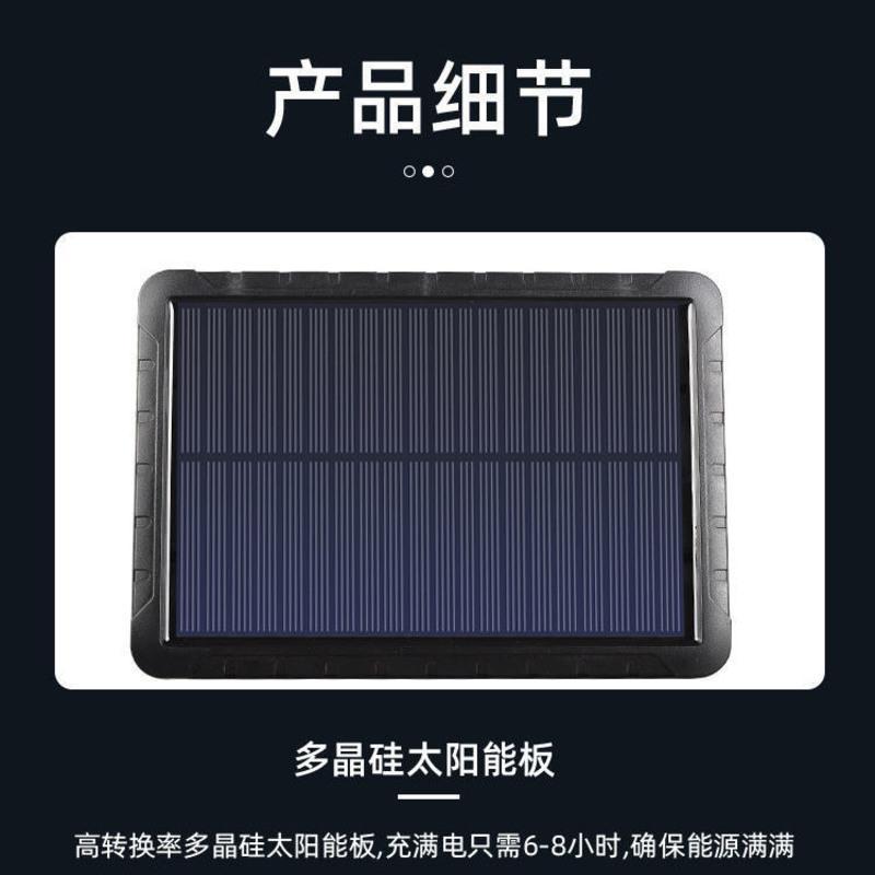仿真监控太阳能感应灯天黑自动亮照明灯户外防水农村遥控感应路灯 一体式室外66灯珠[带遥控]