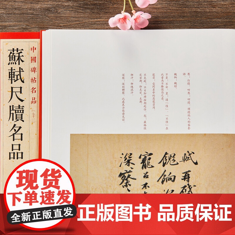 苏轼尺牍名品/苏轼黄州寒食诗帖赤壁赋 中国碑帖名品上海书画出版社 书法篆刻毛笔字练习字帖名家高清高清大图