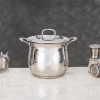 火象 HXG-T048 宝泊汤炖锅