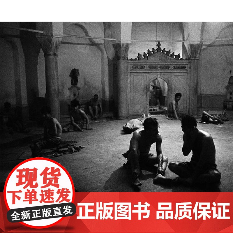 伊斯坦布尔一座城市的记忆/阿拉古勒的伊斯坦布尔 读城系列城市视觉摄影集外国欧美图片记忆世纪文景高清大图