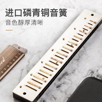 玫瑰木专业纪念版rosewood 24孔复音C调口琴初学者儿童入门自学高级成人专业演奏乐器
