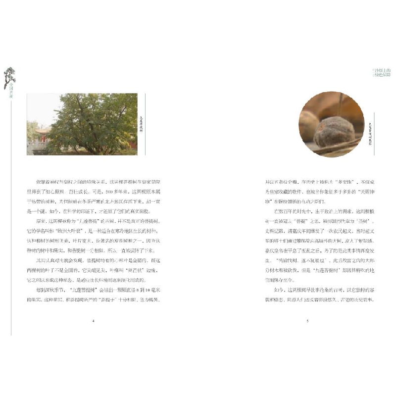 正版新书]中国古树:绿色文物的传奇故事中央电视台9787548076780高清大图