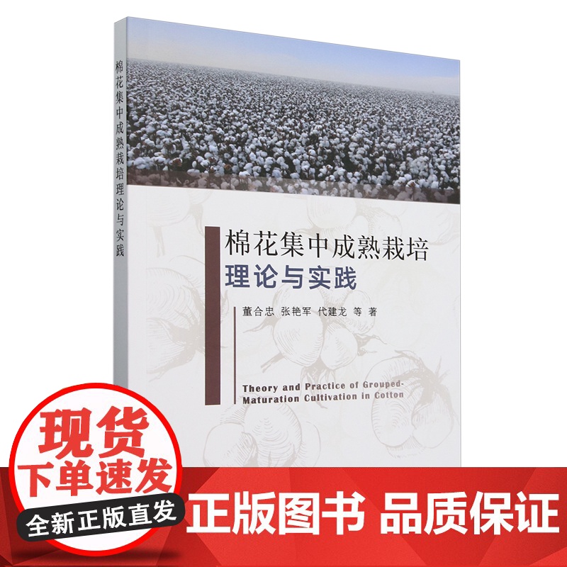 棉花集中成熟栽培理论与实践 董合忠 张艳军 代建龙 编 9787109326293 中国农业出版社高清大图