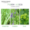 The Face Shop 菲诗小铺 每日草本芦荟泡沫洁面膏 两只装170g*2(洗面奶 洁面乳 有效清洁 舒缓 保湿)