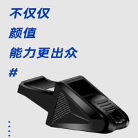 口哨裁判体育老师专业海豚口哨