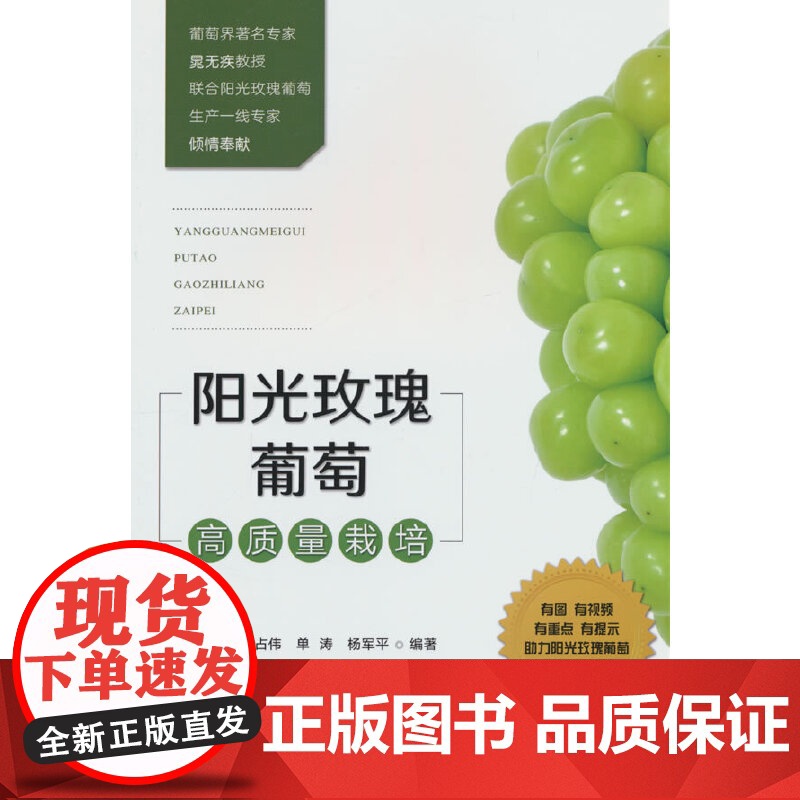 阳光玫瑰葡萄高质量栽培高清大图