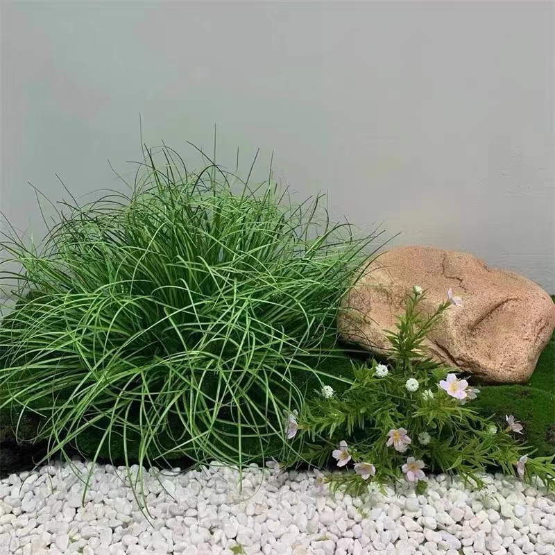 仿真绿植蒲草装饰造景假草摆件 10盆起售高清大图