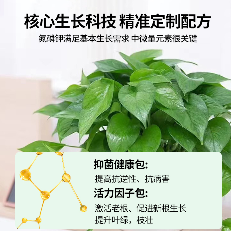 绿萝营养液肥料专用肥植物盆栽绿箩营业液花肥料家用土水培养花肥高清大图
