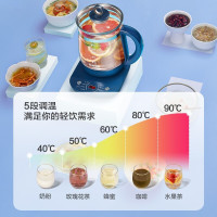 苏泊尔养生壶家用多功能全自动玻璃煮茶器花茶壶办公室小型电热壶