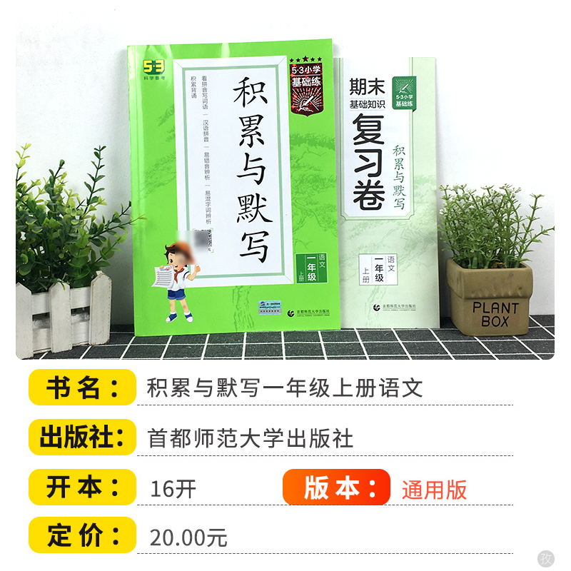 句式训练大全[上册] 小学四年级 [正版]2024新版53小学基础练积累与默写上册下册人教版 小学语文句式训练大全一二三高清大图