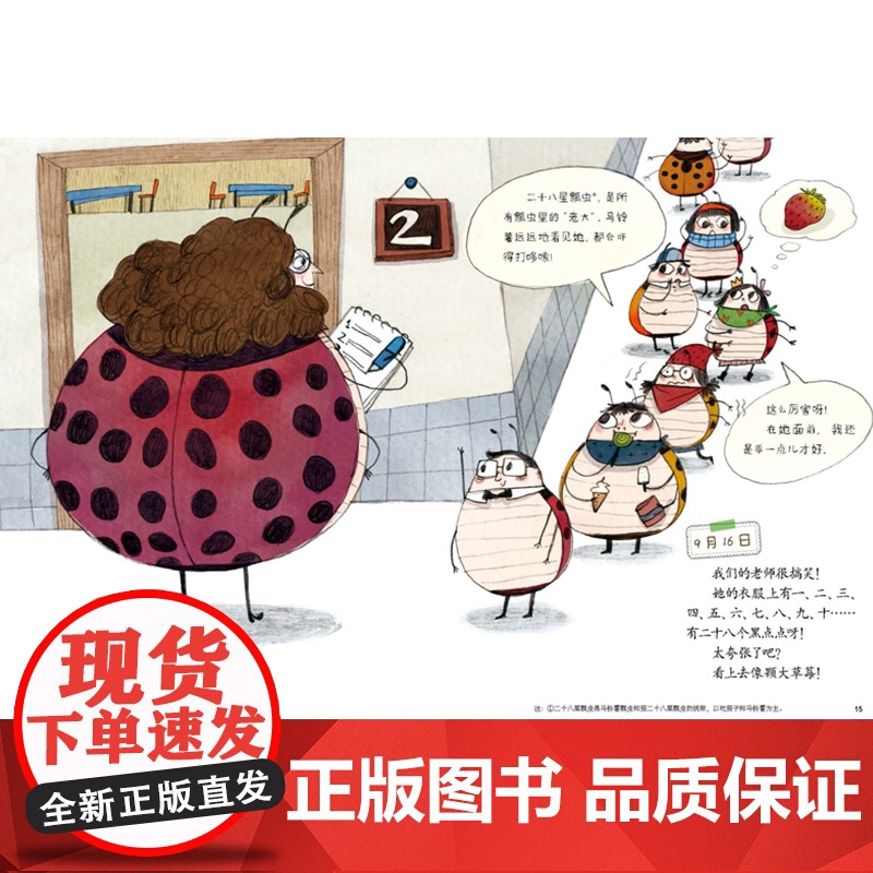 我的日记系列:瓢虫的日记精装绘本图画书3岁以上亲子共读正版童书高清大图