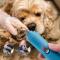 Dog Nail Grinder and Trimmer Pet Grooming Tool Kit宠物磨甲器
