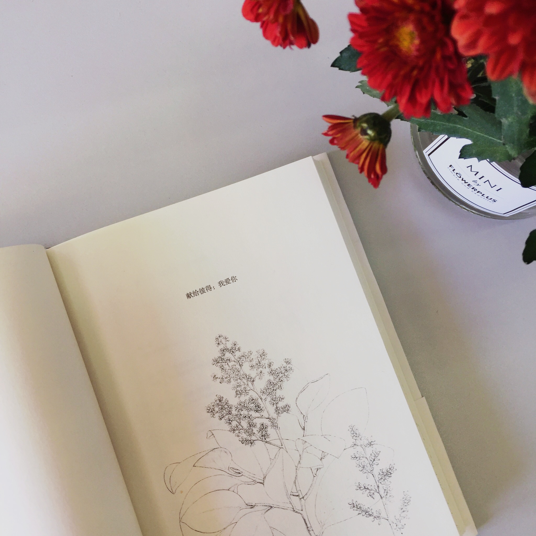 [正版]花朵的秘密生命 以花朵为主题的自然科普读物 深入剖析近200种花朵不为人知 生存与演化高清大图