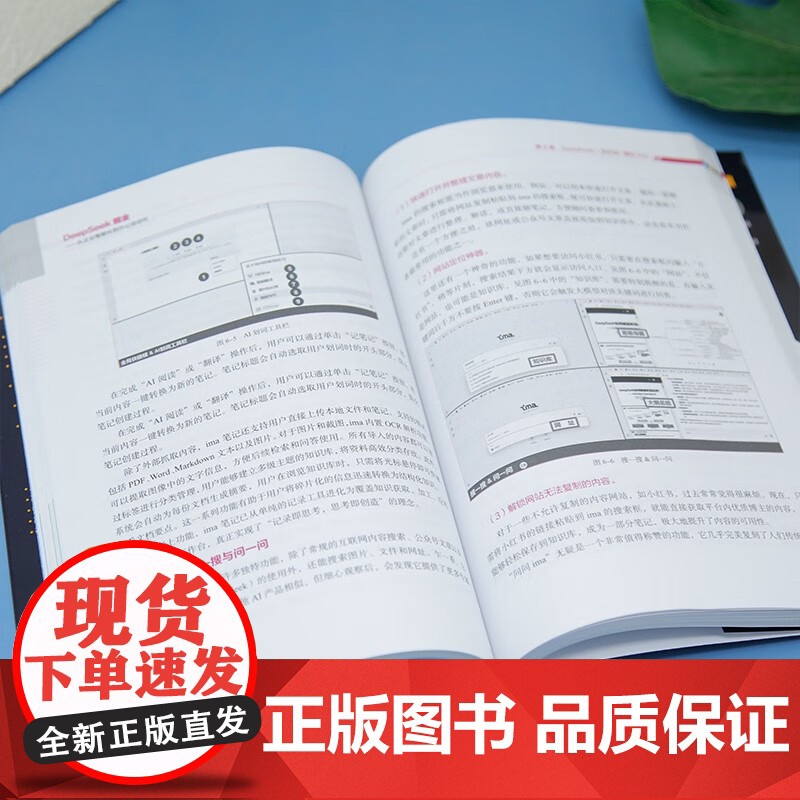 DeepSeek掘金 从企业智能化到办公自动化 潘淳 著 计算机与互联网高清大图