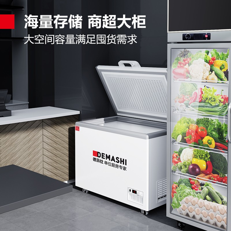 德玛仕(DEMASHI) 卧式冰柜 BD-480[XC02]卧式冰柜全冷冻冰柜 商用冰柜
