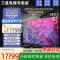 三星电视 UA98DU9100JXXZ 98英寸 3+64G 4K超高清 AI智能补帧 无开机广告 超薄平板液晶电视机