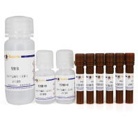 Beyotime/碧云天C1116，Caspase 3 活性检测试剂盒