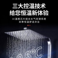 奥克斯(AUX)燃气热水器JSQ25-DAL65即热式家用零冷水13升天然气智能变频恒温强排式速热低压启动