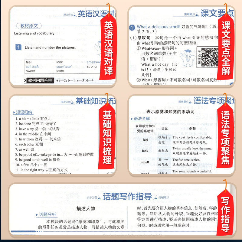 2020版中学教材全解八年级下英语 WY外研版八年级下册英语书配套教材解读 初二下册英语中学教材全解 八年级英语(下)
