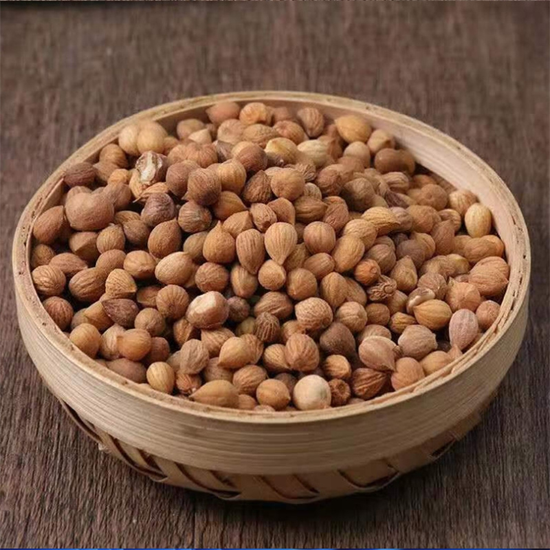 甄选郁李仁100克新货煮水泡茶李仁郁李大李仁正品干货另售菊花莱菔子高清大图