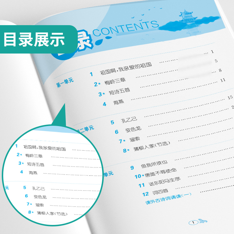 九年级/初中三年级 语文 [正版]2024春初中语文词语手册九年级下册人教版语文课文字词句同步讲解辅导书专项训练工具书春高清大图