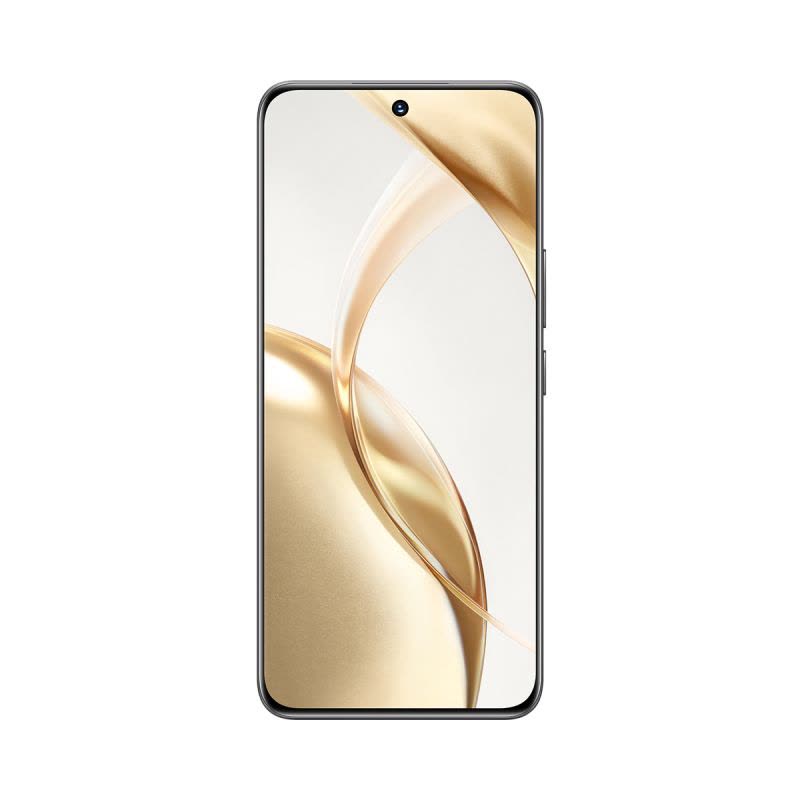 HONOR/荣耀200 16 512 绒黑色 5000万雅顾光影主摄 荣耀绿洲护眼屏 5200mAh青海湖电池 5G智能手机图片